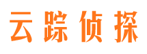 卢龙侦探公司